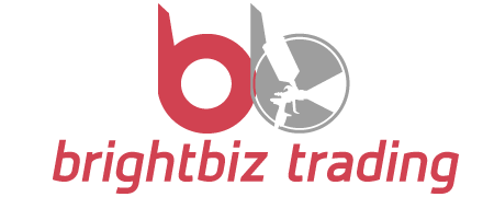 Brightbizs